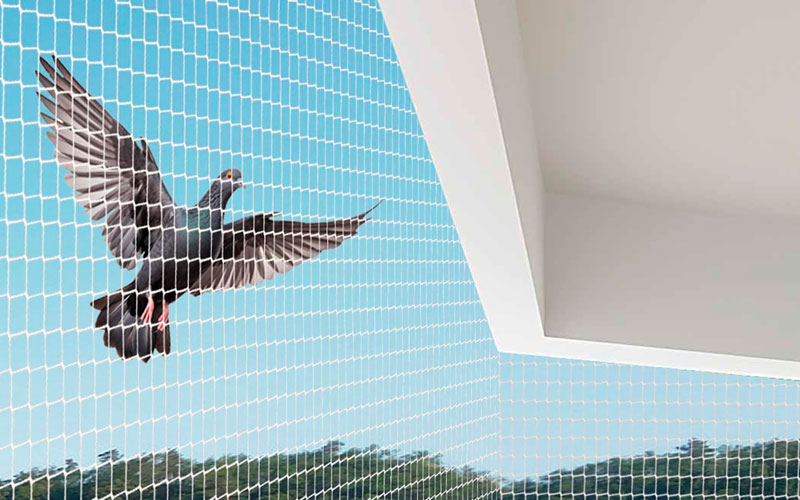 Bird Netting Services